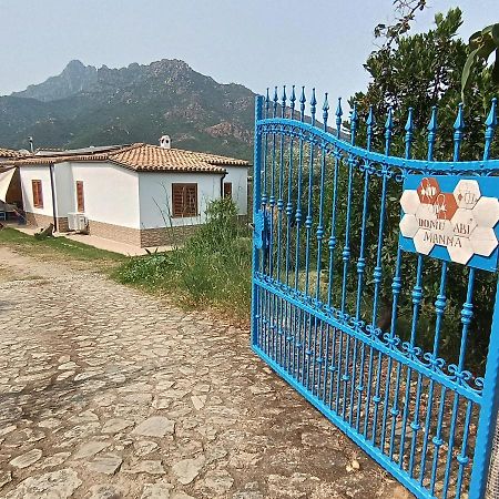 Domu Abi Manna Vila Tertenìa Exterior foto