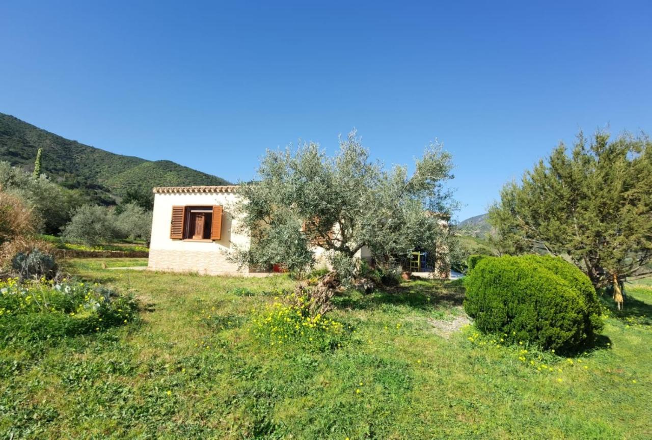 Domu Abi Manna Vila Tertenìa Exterior foto